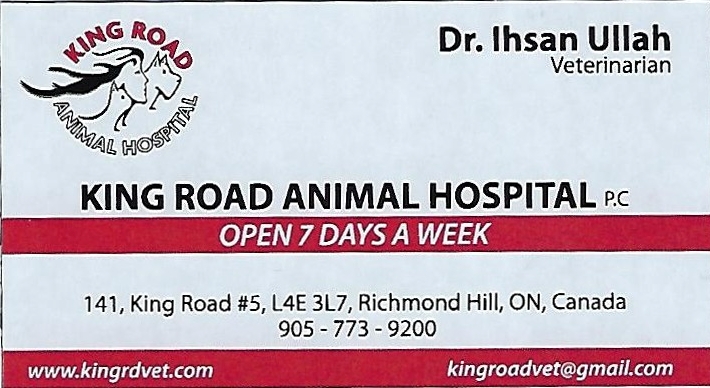 King Road Animal Hospital